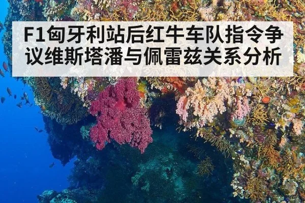 F1匈牙利站后红牛车队指令争议维斯塔潘与佩雷兹关系分析