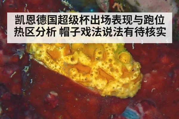 凯恩德国超级杯出场表现与跑位热区分析 帽子戏法说法有待核实